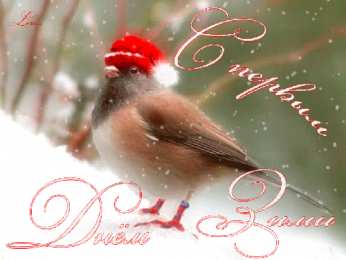 Открытки с первым днем зимы Мерцающие анимационные открытки с пожеланиями на первый день зимы