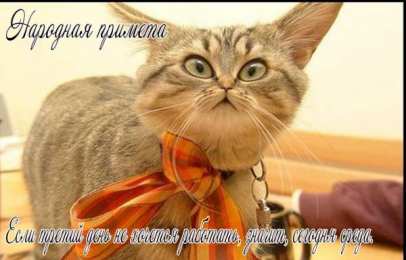 Открытки на среду Открытки с пожеланиями отличной среды. Красивые открытки на среду.