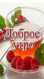 Открытки Открытки с добрым утром Открытка с пожеланиями доброго утра на каждый день скачать бесплатно  Открытки доброе утро скачать бесплатно. Анимационные картинки с пожеланиями удачного утра. Хорошего начала дня открытки gif. Открытки для вотсапа с добрым утром. Открытка с пожеланиями доброго утра на каждый день.