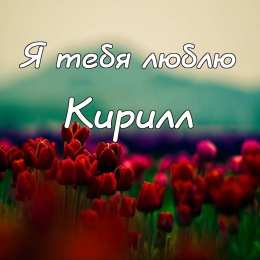 Открытки с именем Кирилл С днём рождения Кирилл открытки. Открытки с поздравлениями Кириллу.