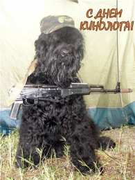 Открытки с днем кинолога Открытки с пожеланиями на день кинолога скачать бесплатно.    