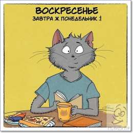 Открытки на воскресенье Мерцающие открытки про воскресенье. Открытки на воскресное утро.