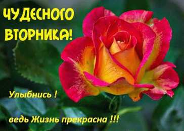 Открытки на вторник Позитивные открытки на вторник. Картинки про вторник скачать бесплатно.