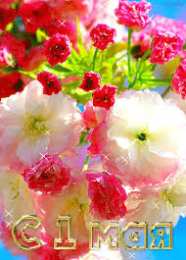 Открытки на 1 мая Открытки на 1 мая скачать бесплатно. С праздником труда открытки.