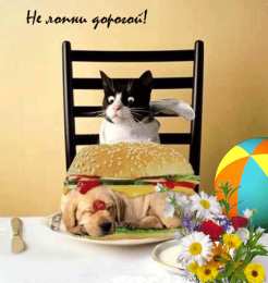 Открытки приятного аппетита Открытки с пожеланиями приятного аппетита скачать бесплатно.