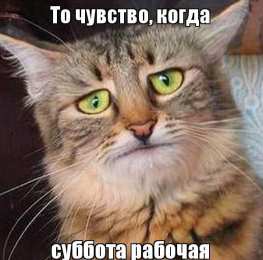 Открытки на субботу Интересные открытки на субботу. Веселые открытки на выходные.