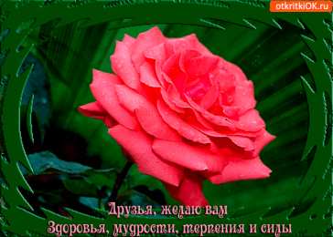 Открытки желаю здоровья Открытки с пожеланиями крепкого здоровья скачать бесплатно. 