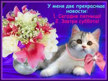 Открытки на субботу Интересные открытки на субботу. Веселые открытки на выходные.