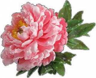 Открытки с цветами Красивые анимационные открытки с цветами на любой вкус бесплатно.