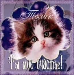 Открытки с именем Анатолий Картинки с именем Анатолий скачать бесплатно. Открытки с именем Толик.