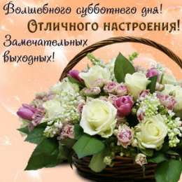 Открытки на субботу Интересные открытки на субботу. Веселые открытки на выходные. 