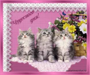 Открытки на субботу Интересные открытки на субботу. Веселые открытки на выходные.