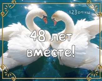 Открытки на Аметистовую свадьбу 48 лет Анимационные открытки на Аметистовую свадьбу 48 лет скачать бесплатно.