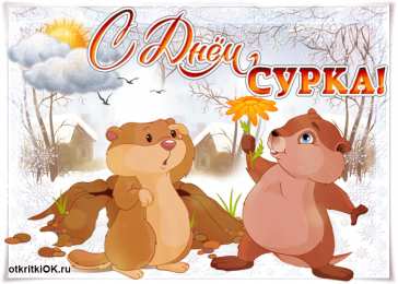 Открытки с днем сурка Веселые открытки с приколами на день сурка скачать бесплатно