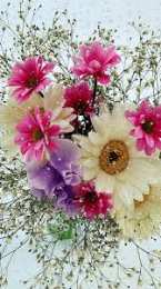 Открытки с цветами Открытки с полевыми цветами. Красивые открытки с цветами с пожеланиями. 