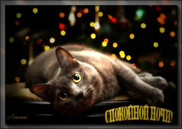 Открытки с пожеланиями на ночь Gif анимации открыток спокойной ночи. Открытки с пожеланиями на ночь.