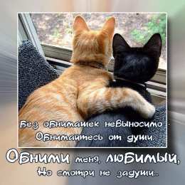 Открытки обнимаю Открытки хочу тебя обнять. Открытки крепко обнимаю скачать бесплатно.