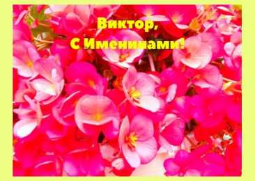 Открытки с именем Виктор Скачать открытки с именем Витя. Открытки с днём рождения Виктору.