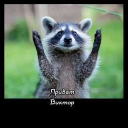 Открытки с именем Виктор Скачать открытки с именем Витя. Открытки с днём рождения Виктору.