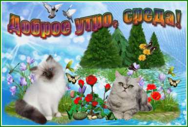 Открытки на среду Открытки с пожеланиями отличной среды. Красивые открытки на среду.