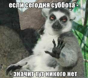 Открытки на субботу Интересные открытки на субботу. Веселые открытки на выходные.