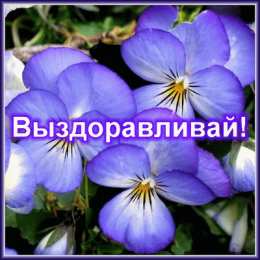 Открытки скорейшего выздоровления Открытки скорейшего выздоровления скачать бесплатно в формате gif.