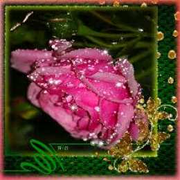 Открытки с цветами Открытки с полевыми цветами. Красивые открытки с цветами с пожеланиями. 