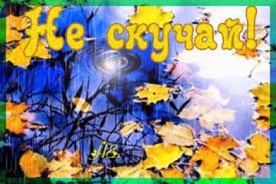 Открытки не скучай Веселые открытки с приколами не скучай скачать бесплатно.    