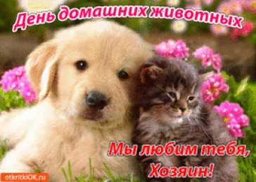 Открытки на Всемирный день домашних животных Добрые открытки на Всемирный день домашних животных скачать бесплатно.