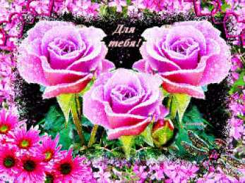 Открытки с цветами Открытки с полевыми цветами. Красивые открытки с цветами с пожеланиями. 