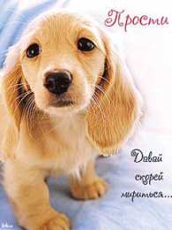 Открытки давай мириться Электронные открытки давай помиримся скачать бесплатно.     