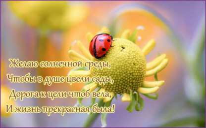 Открытки на среду Открытки с пожеланиями отличной среды. Красивые открытки на среду.