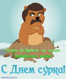 Открытки с днем сурка Веселые открытки с приколами на день сурка скачать бесплатно
