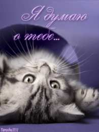 Открытки думаю о тебе Анимационные открытки с признаниями. Открытки думаю о тебе gif.