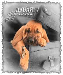 Открытки давай дружить Красивые анимационные открытки давай дружить скачать бесплатно.