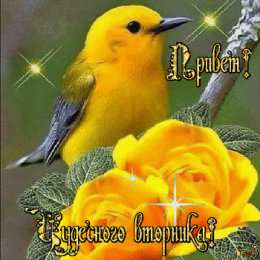 Открытки на вторник Позитивные открытки на вторник. Картинки про вторник скачать бесплатно.