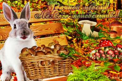 Открытки на понедельник Открытки с пожеланиями легкого понедельника скачать бесплатно.