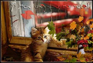 Открытки жду тебя Открытки я жду тебя gif. Открытки возвращайся скорее скачать бесплатно.