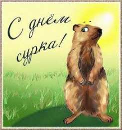 Открытки с днем сурка Веселые открытки с приколами на день сурка скачать бесплатно