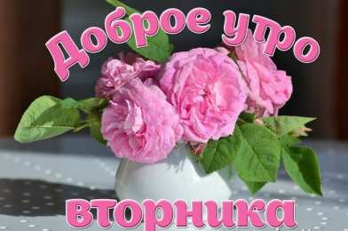 Открытки Открытки на вторник Позитивные открытки на вторник. Картинки про вторник скачать бесплатно. Замечательные пожелания на вторник друзьям. Позитивные открытки на вторник. Открытки желаю удачного вторника. Анимационные картинки про вторник. Картинки про вторник скачать бесплатно.