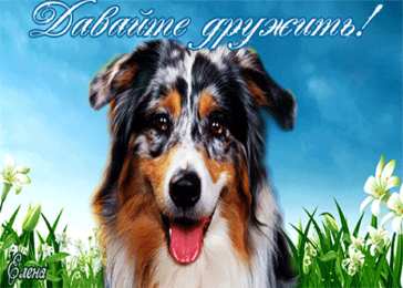 Открытки давай дружить Красивые анимационные открытки давай дружить скачать бесплатно.