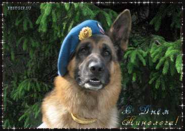 Открытки с днем кинолога Открытки с пожеланиями на день кинолога скачать бесплатно.    