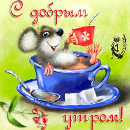 Открытки Открытки с добрым утром Открытка с пожеланиями доброго утра на каждый день скачать бесплатно  Открытки доброе утро скачать бесплатно. Анимационные картинки с пожеланиями удачного утра. Хорошего начала дня открытки gif. Открытки для вотсапа с добрым утром. Открытка с пожеланиями доброго утра на каждый день.