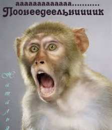 Открытки на понедельник Открытки с пожеланиями легкого понедельника скачать бесплатно.