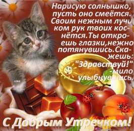 Открытки с добрым утром Открытка с пожеланиями доброго утра на каждый день скачать бесплатно 