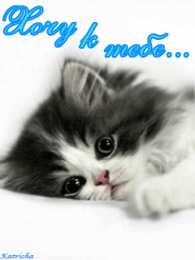 Открытки хочу к тебе Анимационные открытки хочу к тебе. Мерцающие картинки хочу к тебе.