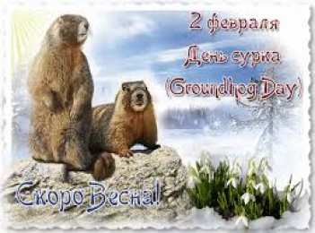 Открытки с днем сурка Веселые открытки с приколами на день сурка скачать бесплатно