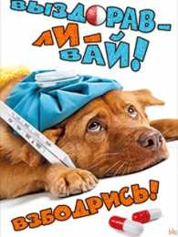 Открытки скорейшего выздоровления Открытки скорейшего выздоровления скачать бесплатно в формате gif.