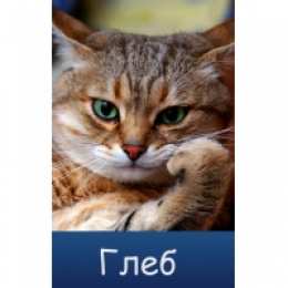 Открытки с именем Глеб Анимационные открытки с именем Глеб. Открытки с днём рождения Глеб.