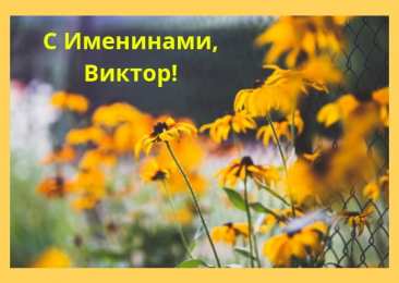 Открытки с именем Виктор Скачать открытки с именем Витя. Открытки с днём рождения Виктору.